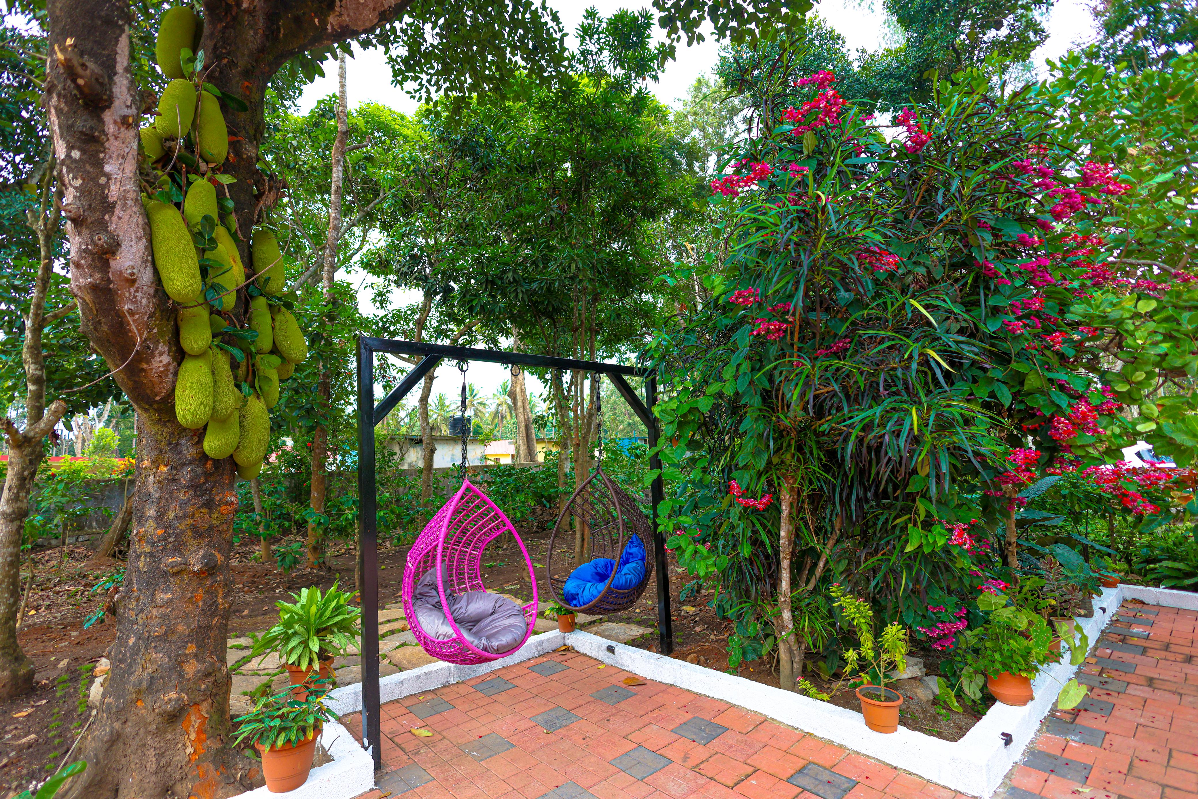 A Nature Park gallery photo 1